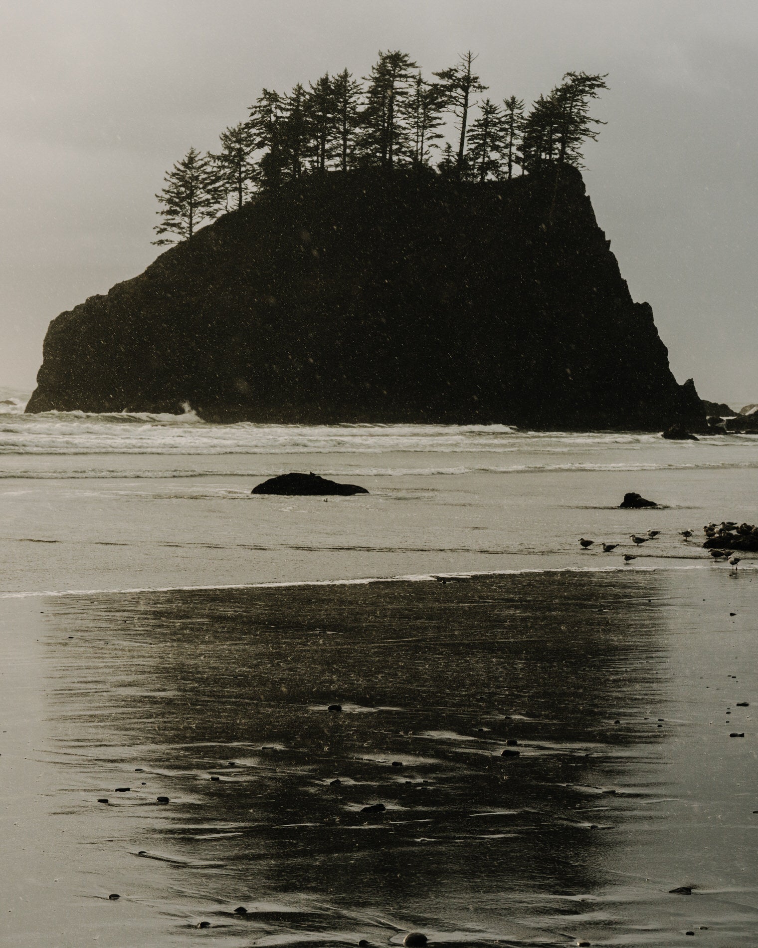 La Push - 8x10 Print - Limited Edition