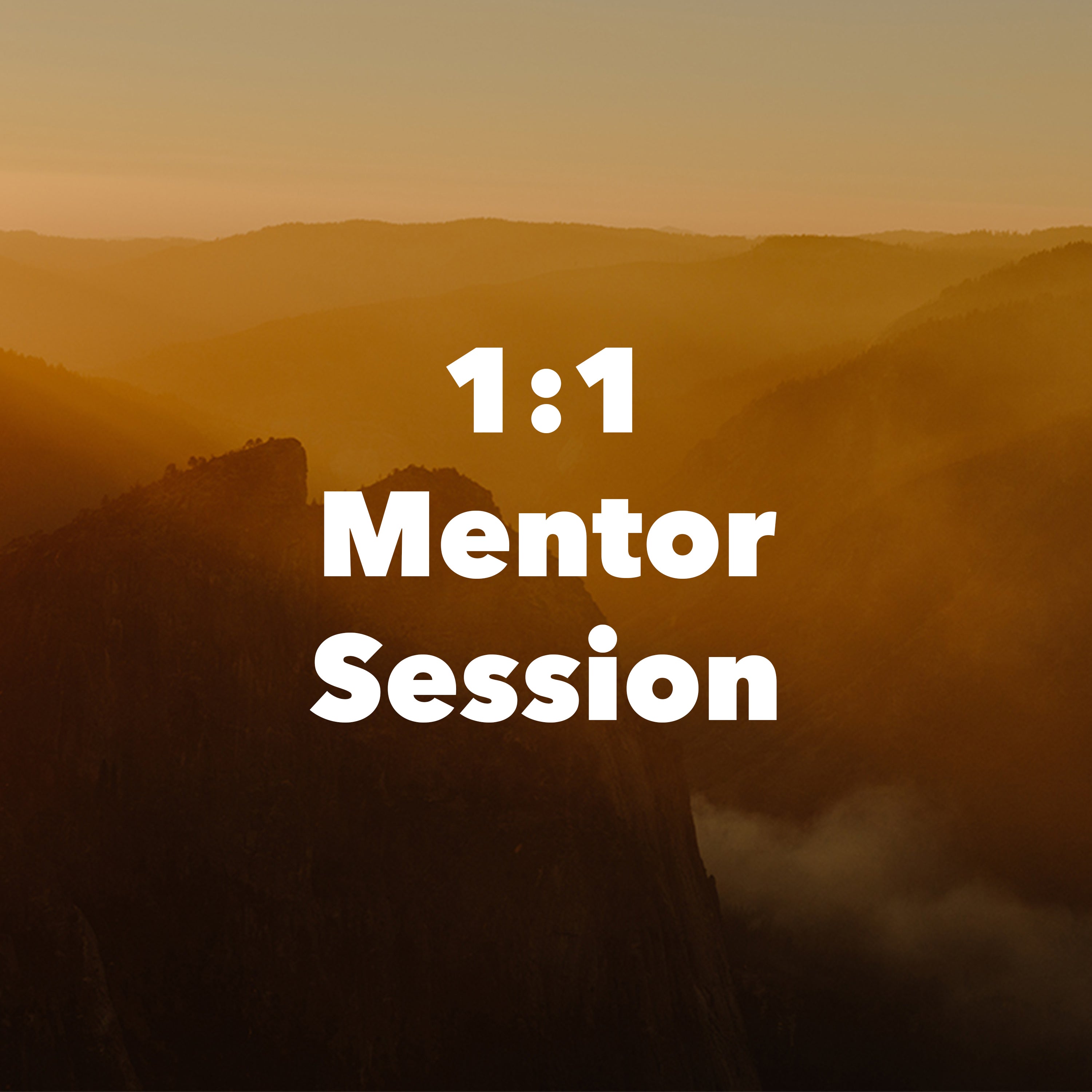 1:1 Mentor session