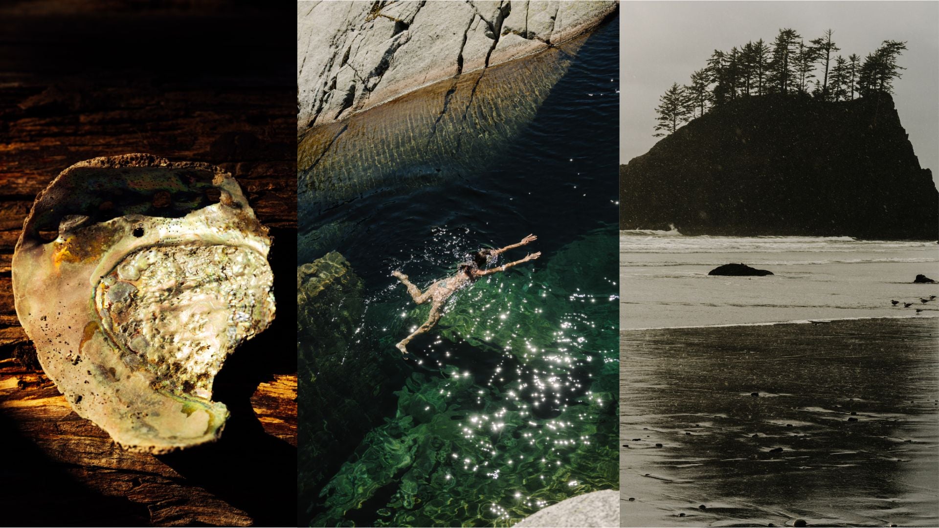 Homeward Color Prints