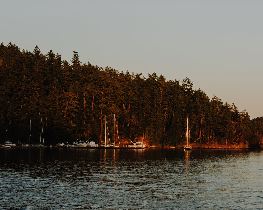 Limited Edition Print - Orcas Island,WA